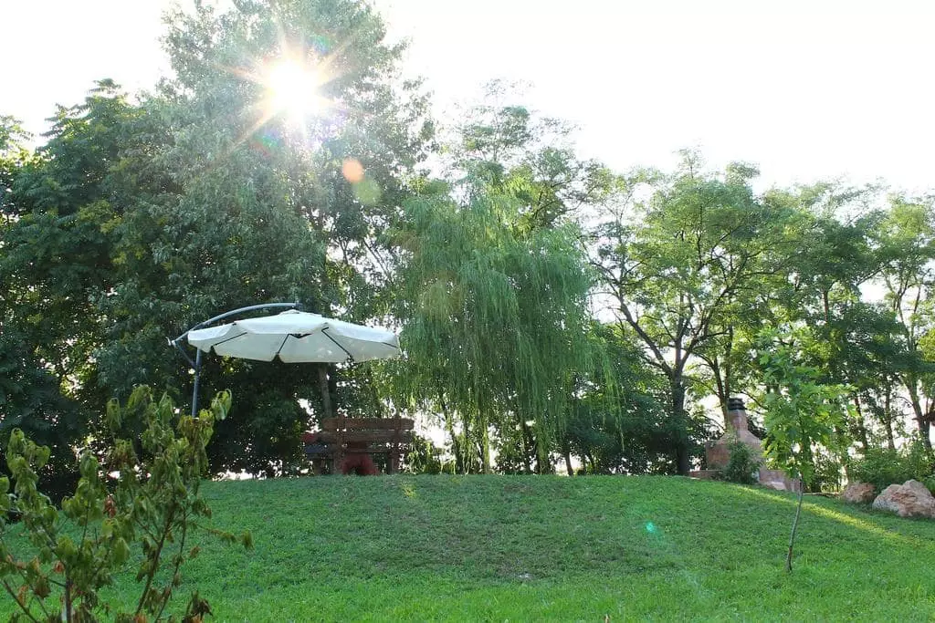 collinetta in un giradino con un ombrellone